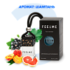 Ароматизатор FeelMe "Шампань" (подвесной)